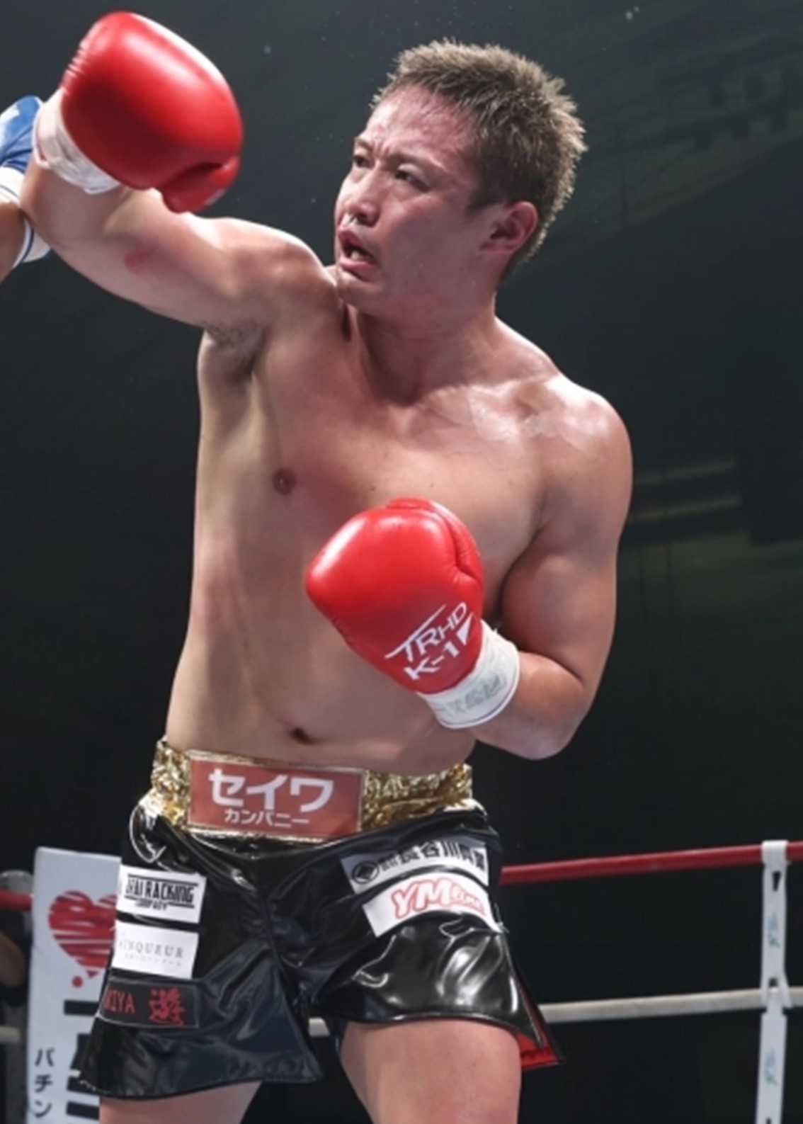 HATTRICK（ハットトリック）-選手の想いをファンへ届ける公式