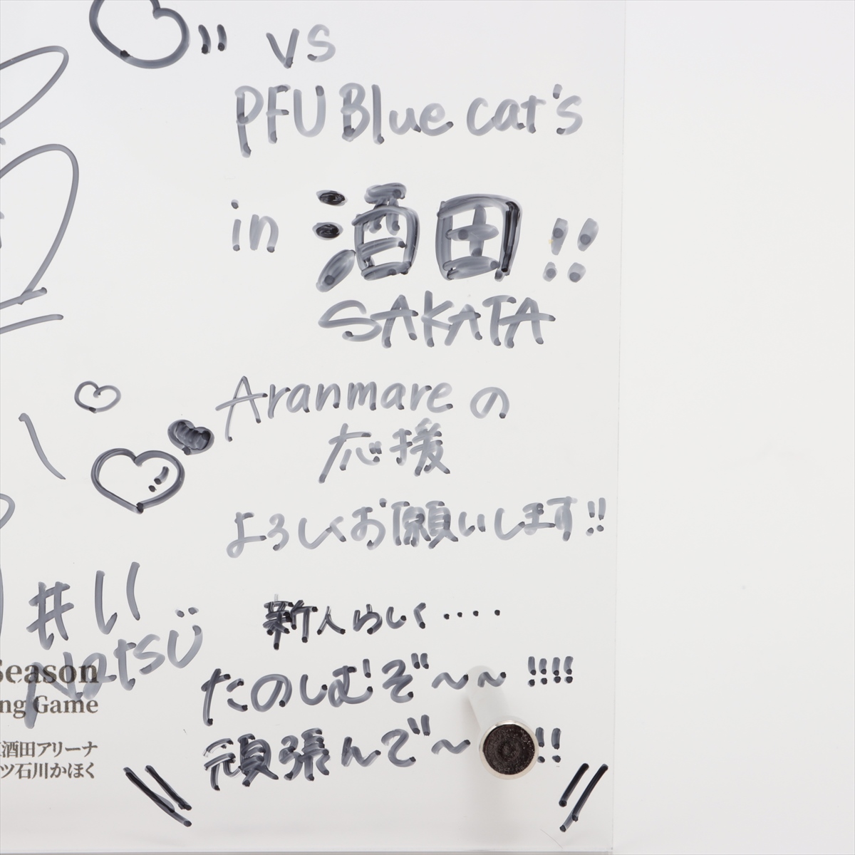 ロッテ ロボパルチャットバードだいちゃん＆当選通知書 ロボパル