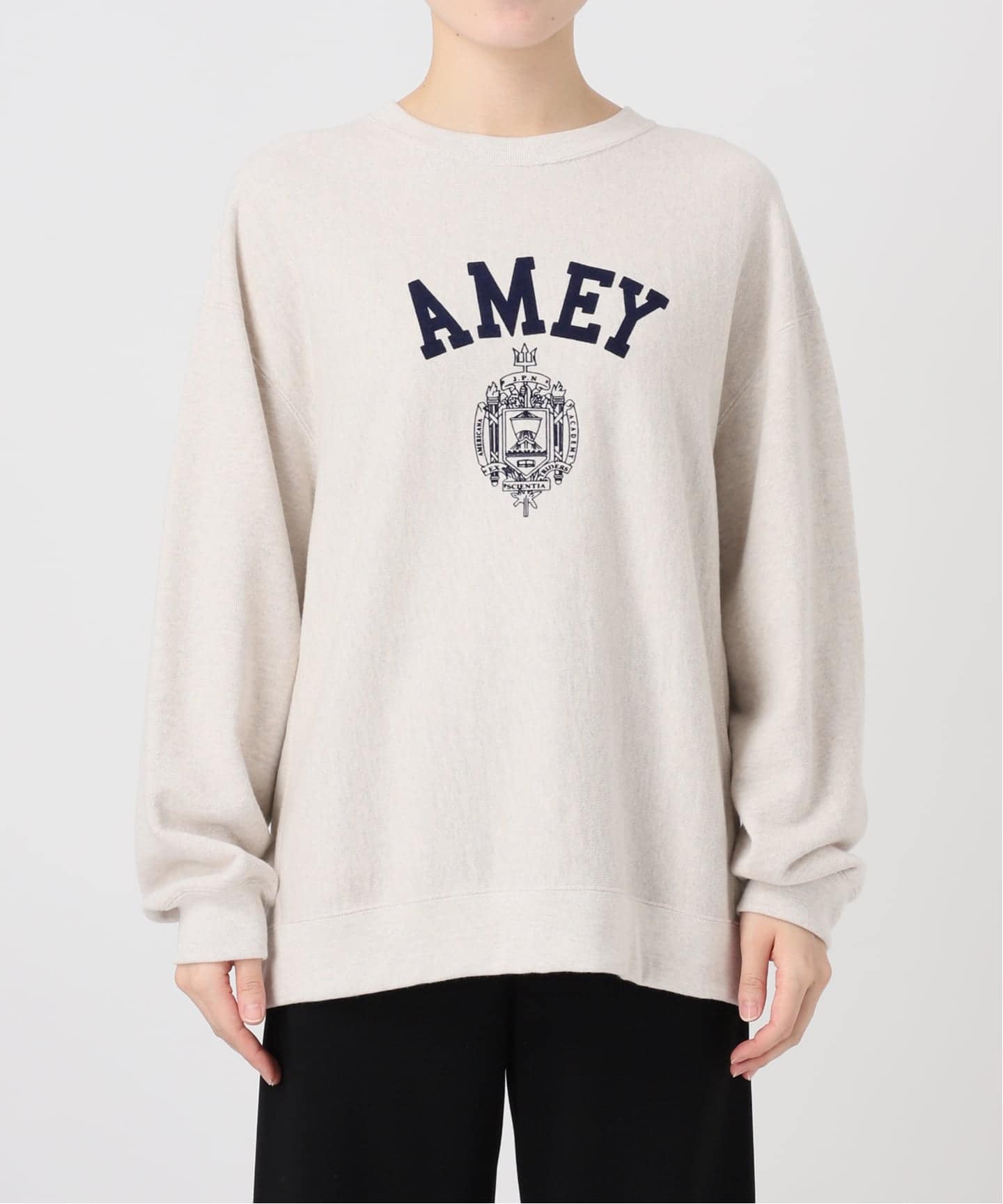 AMERICANA/アメリカーナ】別注AMEY emblem C/N PULLOVER（Tシャツ
