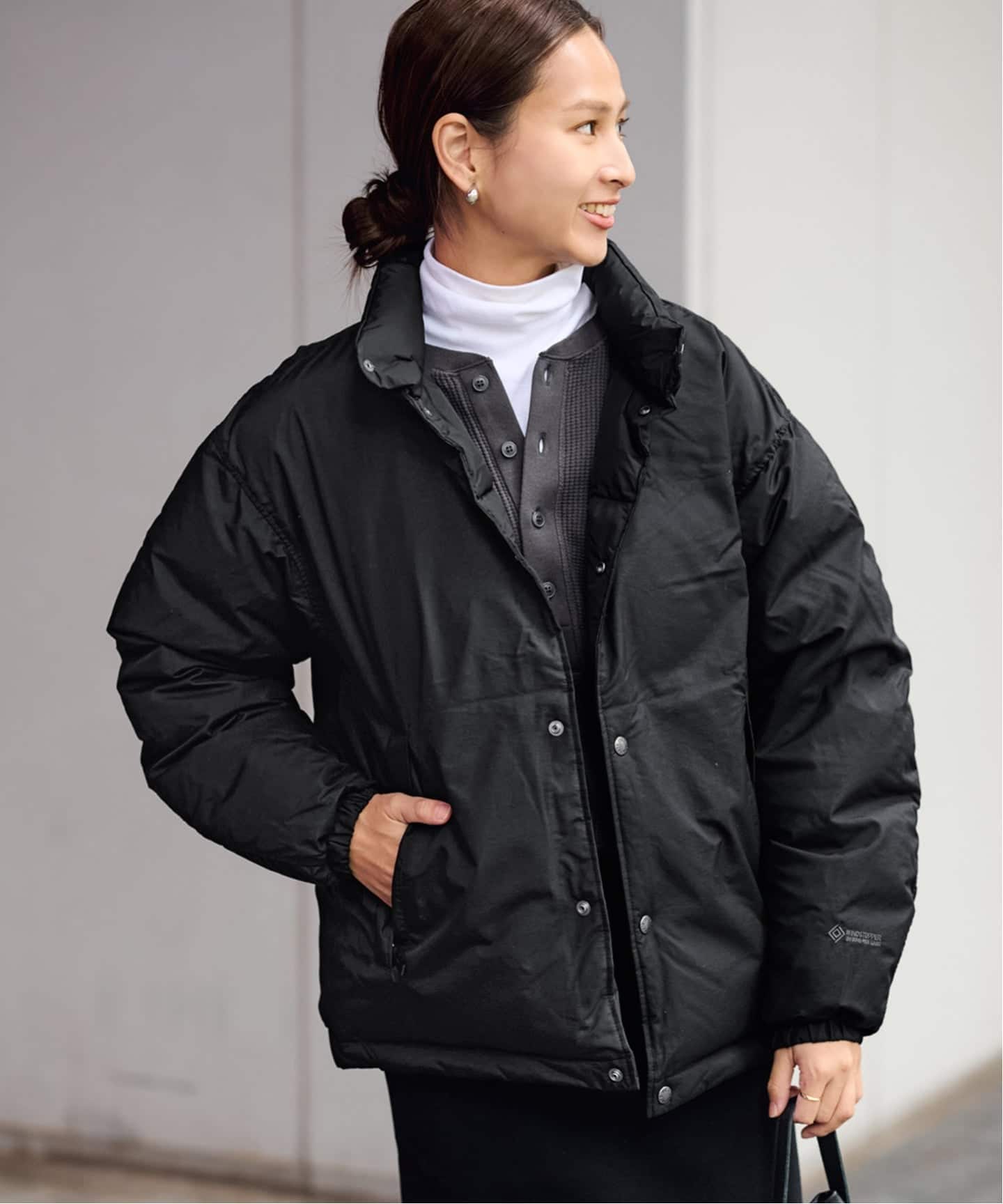 THE NORTH FACE ALTERATION SIERRA ジャケット（ダウンジャケット