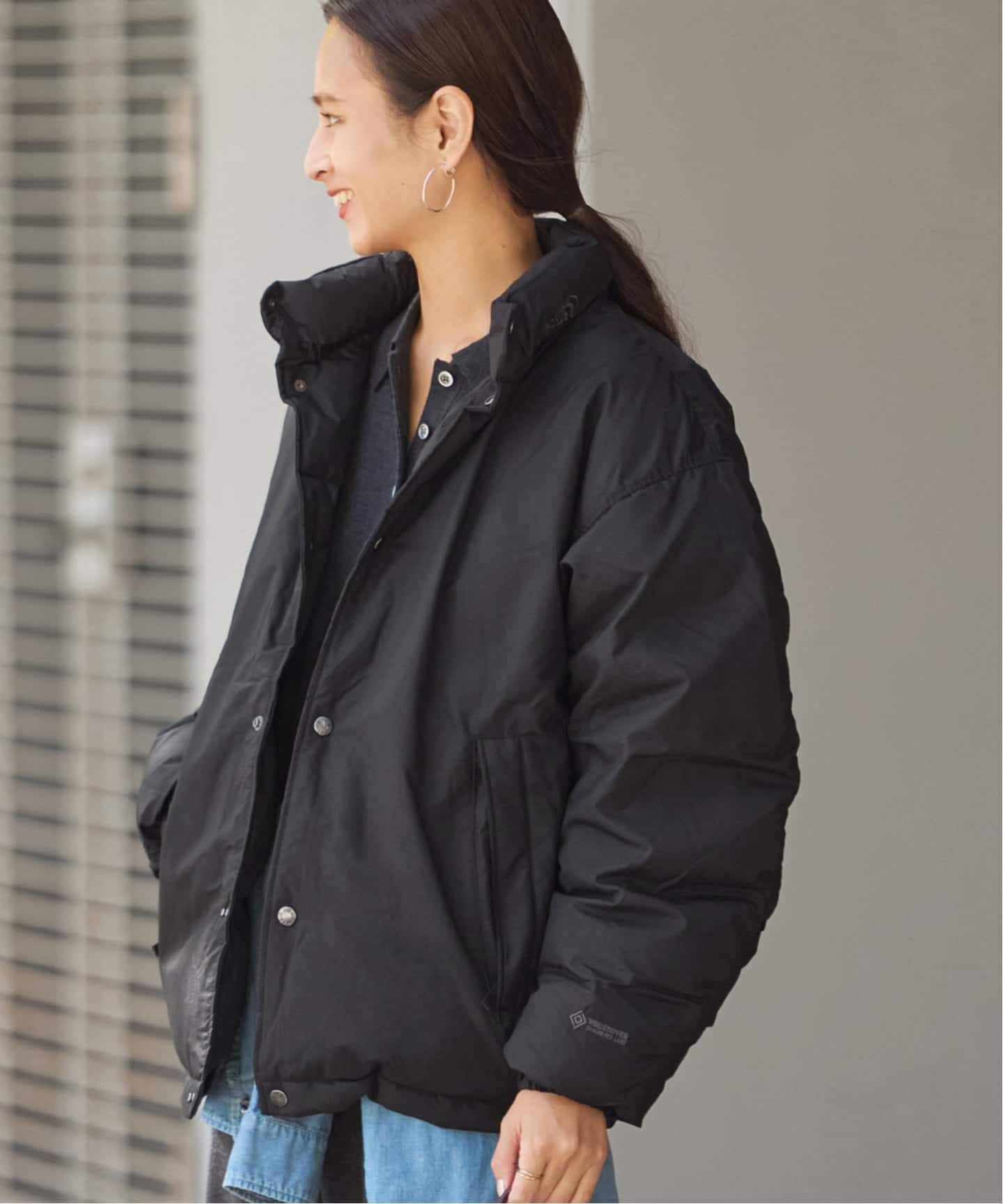 THE NORTH FACE ALTERATION SIERRA ジャケット（ダウンジャケット