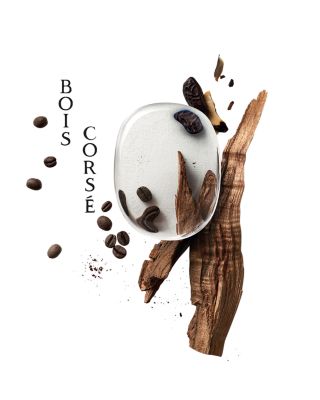 DIPTYQUE Bois Corsé Eau de Parfum 3.4 oz. | Bloomingdale's