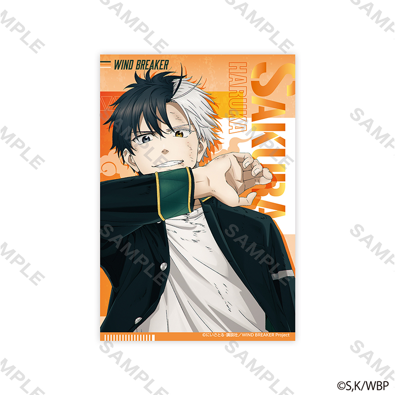 WIND BREAKER ポストカードセット キービジュアル【YTE公式オンライン