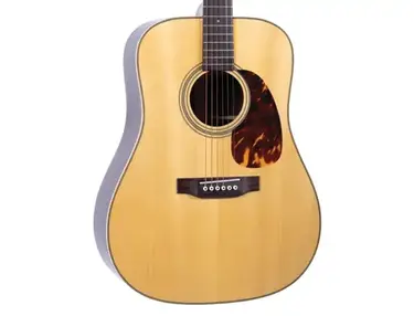 Recording King RD-06 - What To Know & Where To Buy | Equipboard