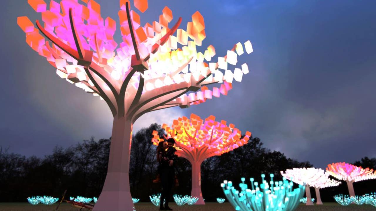 SF's Golden Gate Park to become 'enchanted forest' of lights for