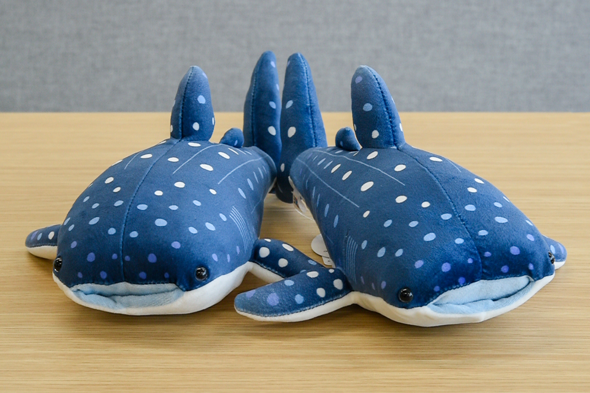 ぬいぐるみジンベエザメ（オス、メス） - 大阪ベイ経済新聞