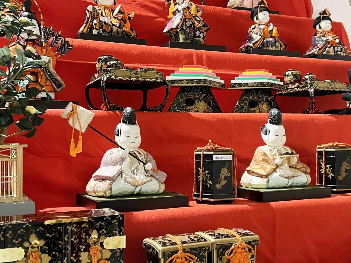 船橋市郷土資料館に「胡粉仕上げ」の七段飾りひな人形 船橋ゆかりの