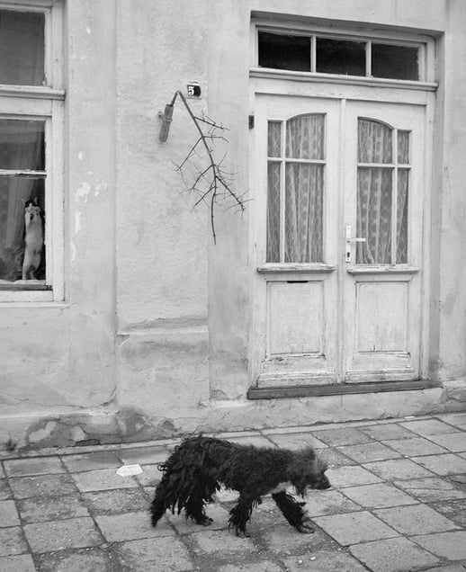 Here Far Away - LensCulture