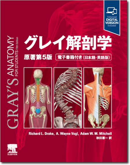 m3電子書籍 | 解剖学講義 第3版