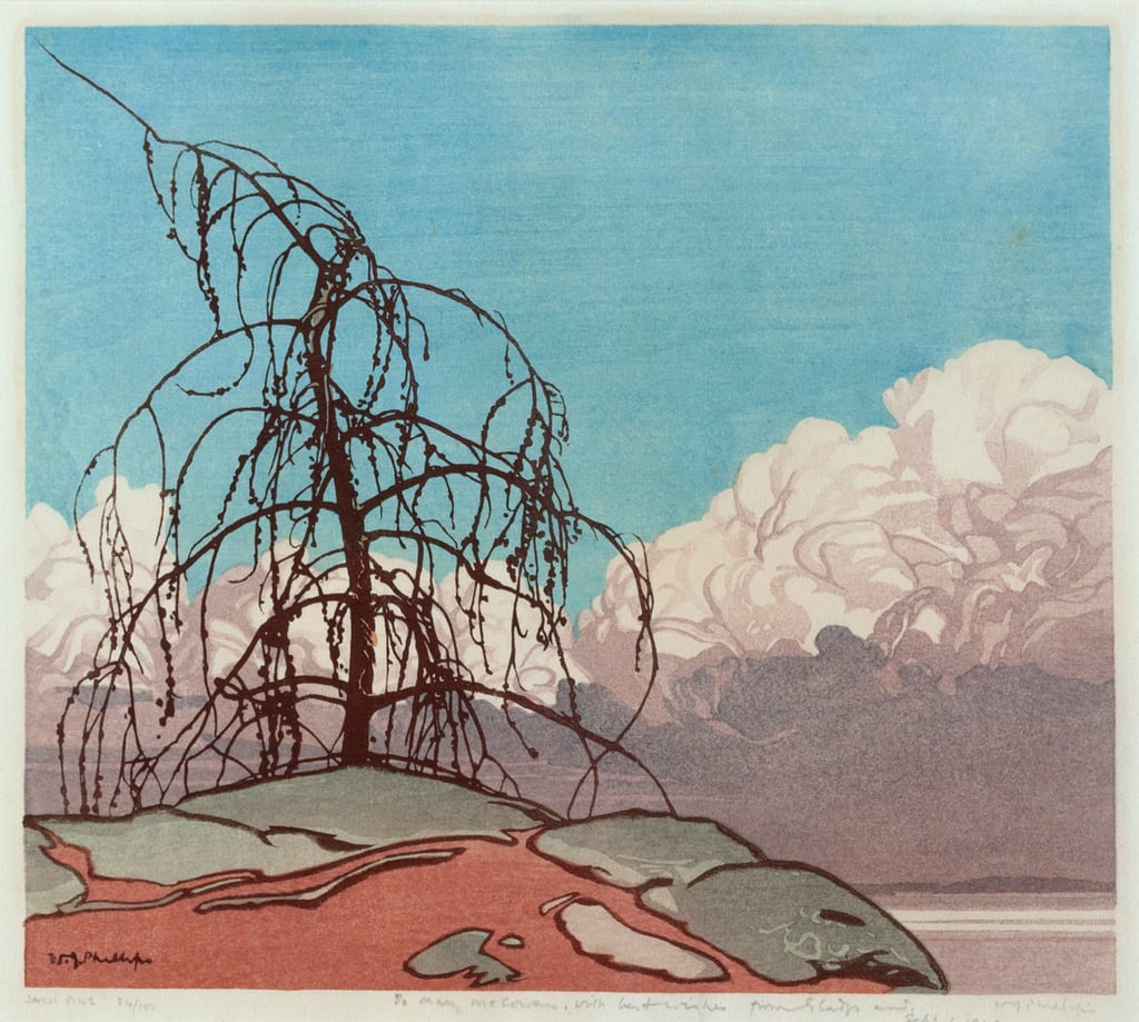 Jack Pine by Walter Joseph Phillips | Mayberry Fine Art