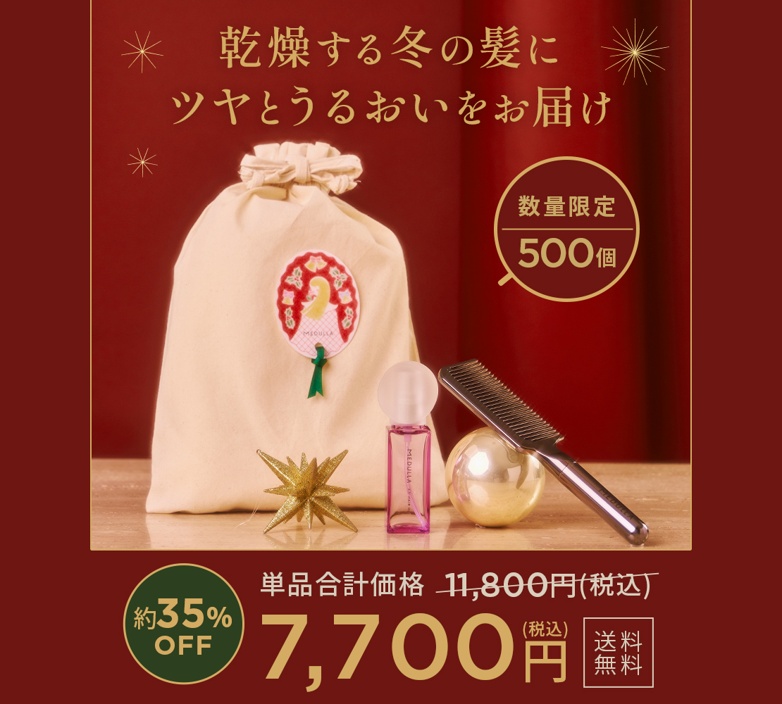 2024】センス抜群！クリスマスプレゼントはヘアケアセットが最適