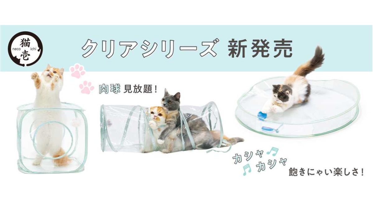 4797af3bd8f79aa3578ca026e39e2c