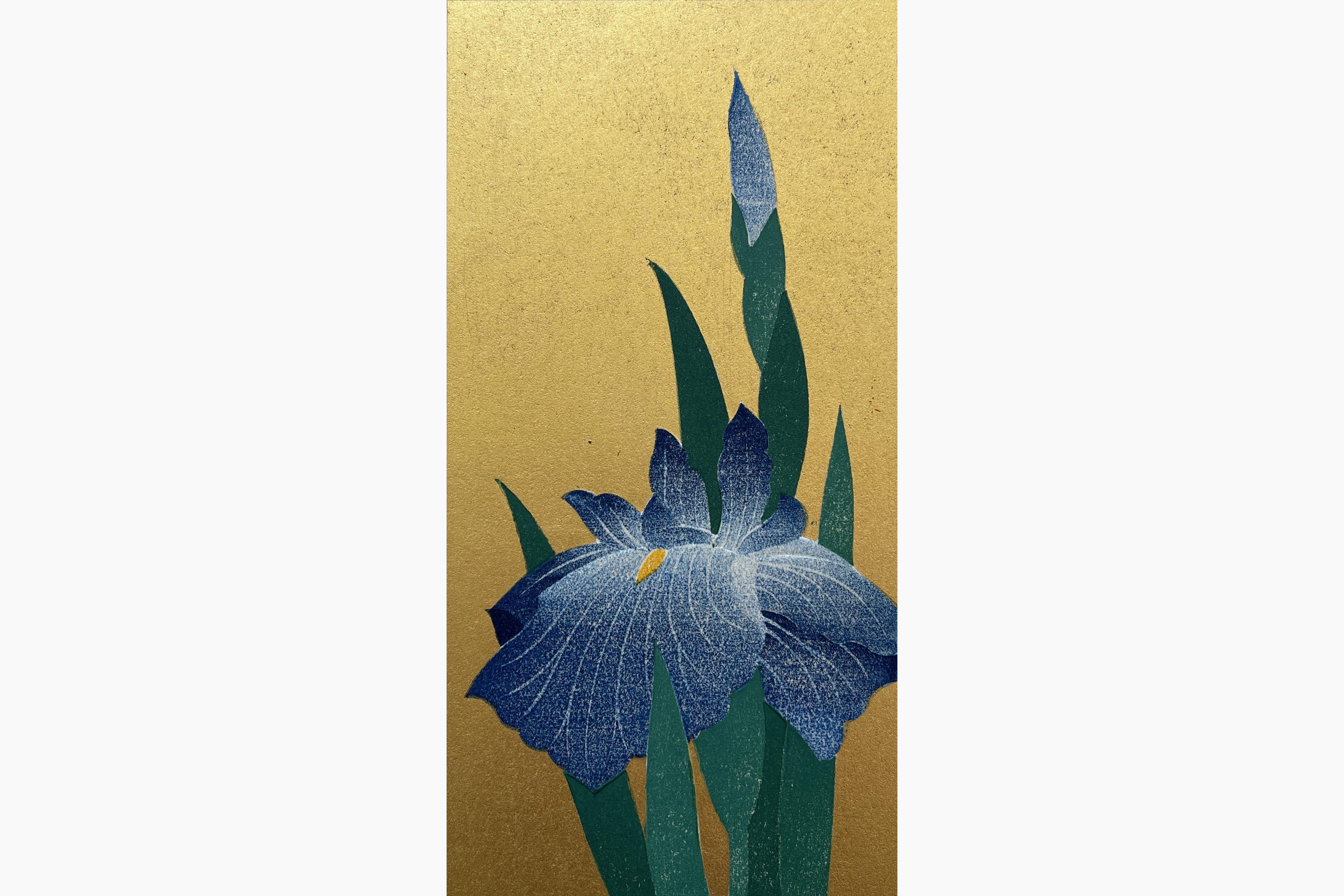 Iris 76 - Hajime Namiki - Japanese Prints - Nipponprints.com