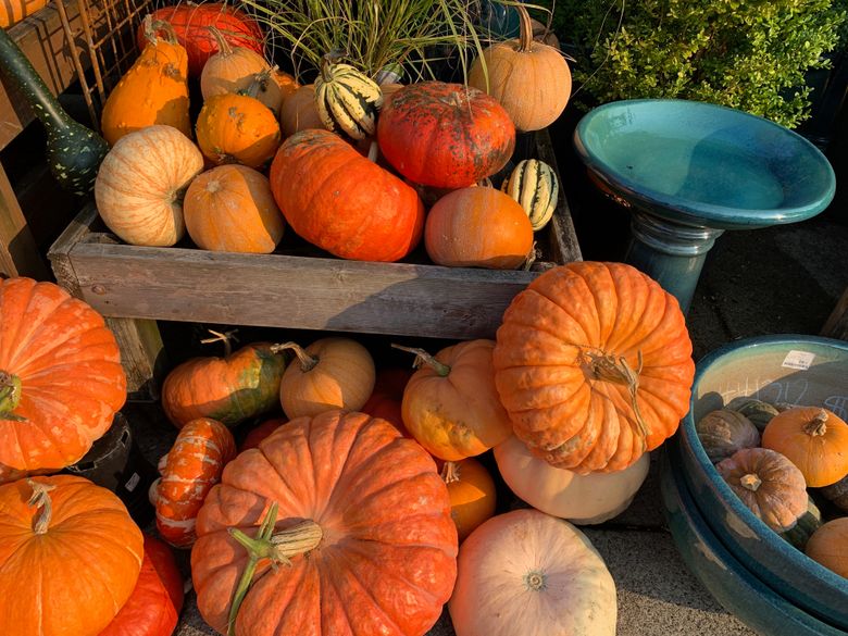 Recycling fall décor made easier | The Seattle Times