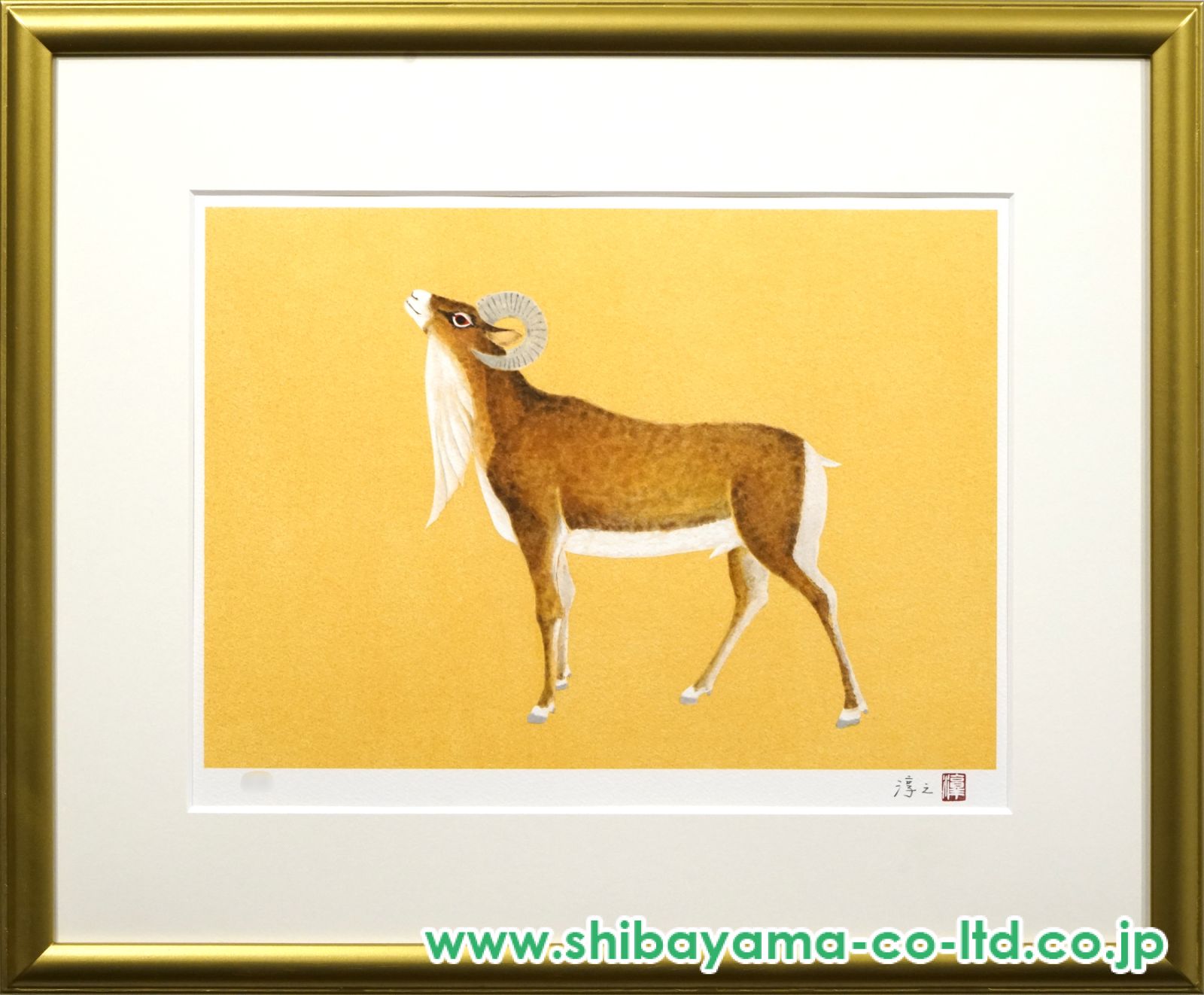 14152_a4d4aab09ae5534a385428c7