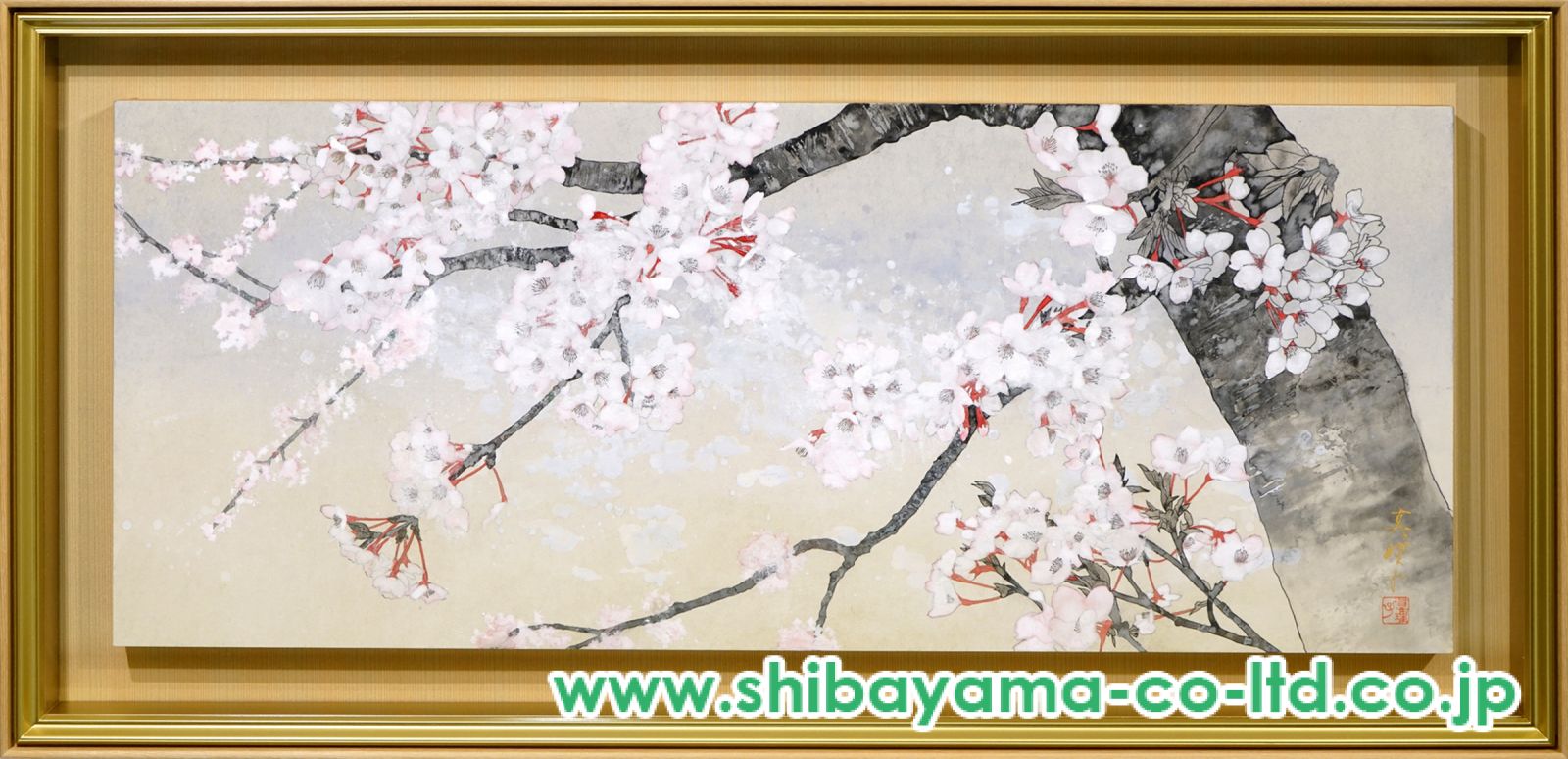 14690_ba5592a4795f99bb328170da