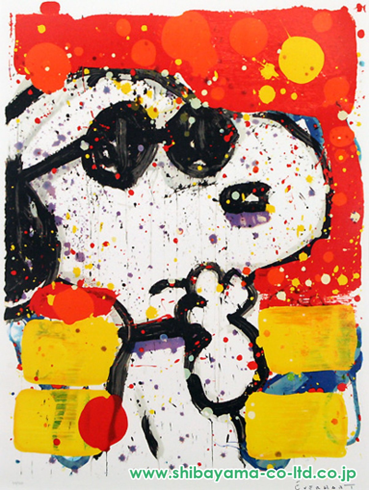 aaa】トムエバハート ジグソーパズル スヌーピー ドッグブレス レア品