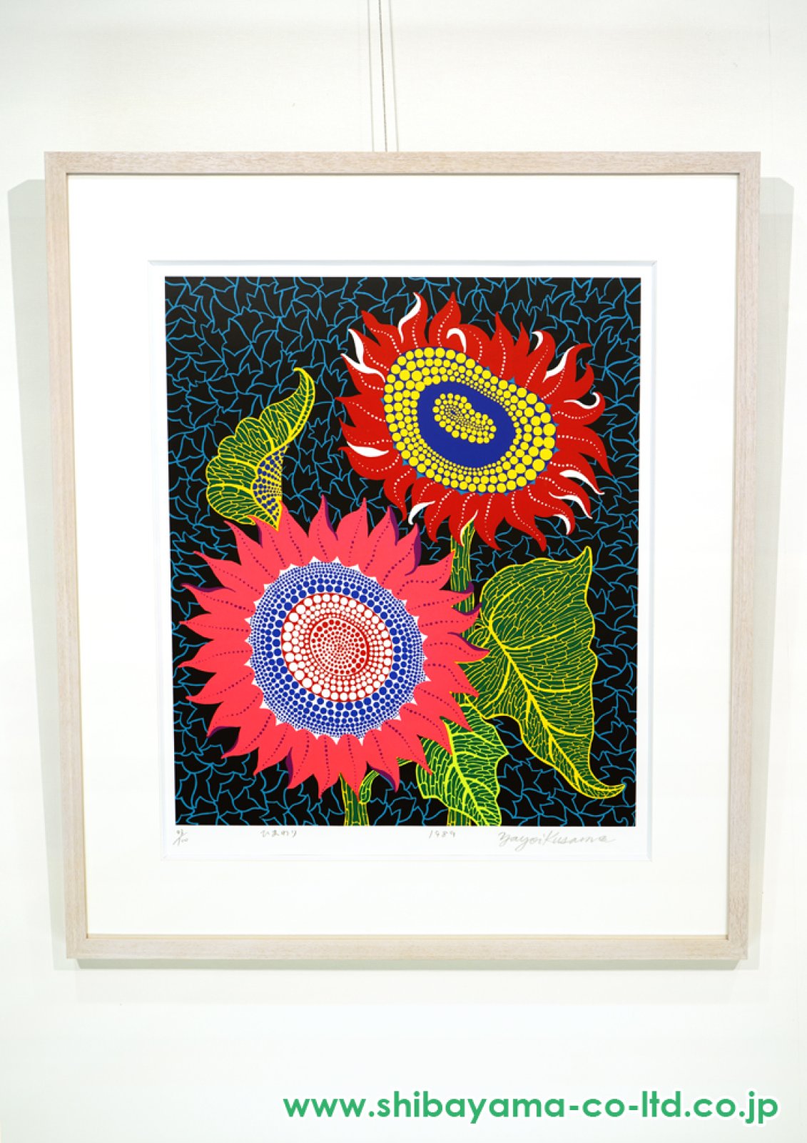 13561_33f75efbb1bc6f14dda44cfd