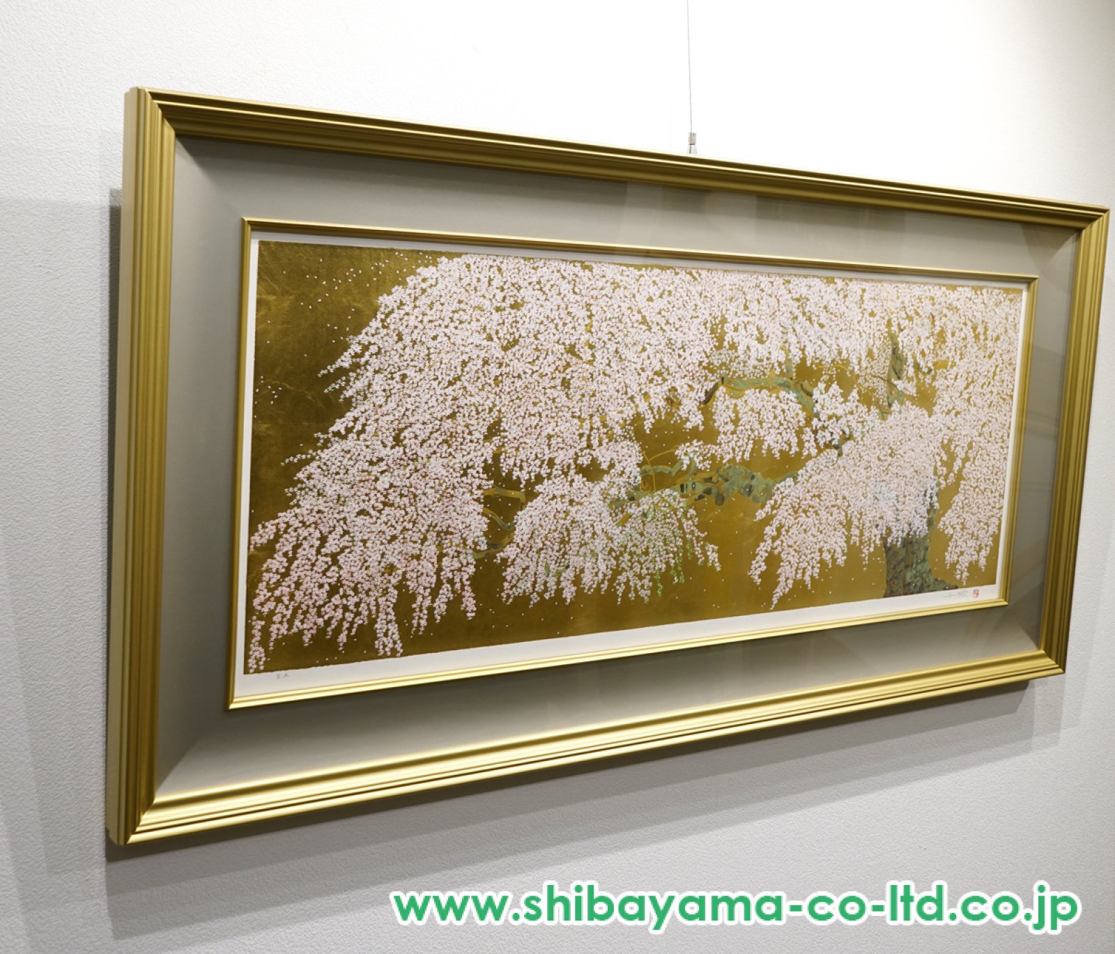 中島千波】金色の額縁に優雅な満開の桜 中島千波】金色の額縁に優雅な
