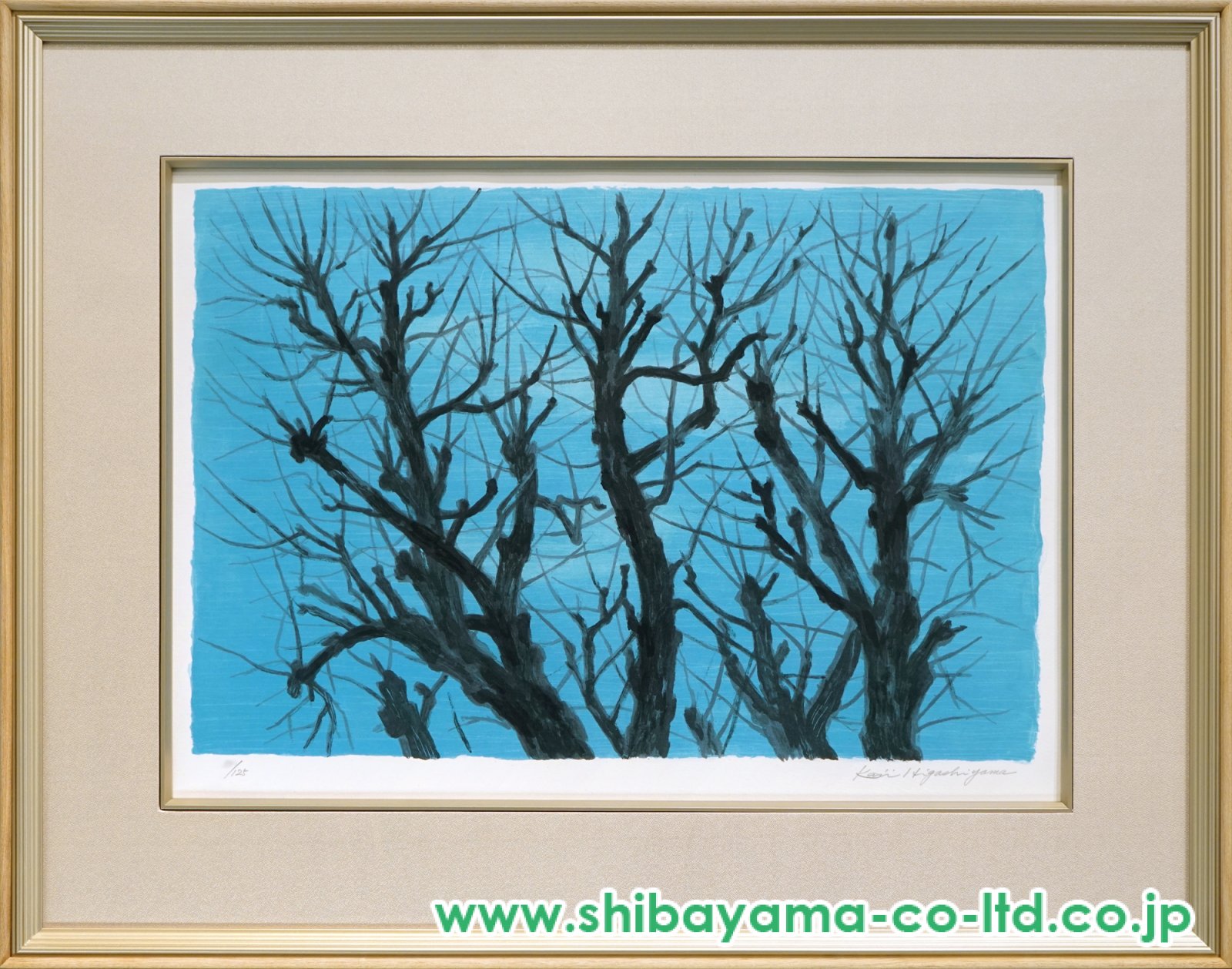 5361_e69aed3a31f4ddd074934642f