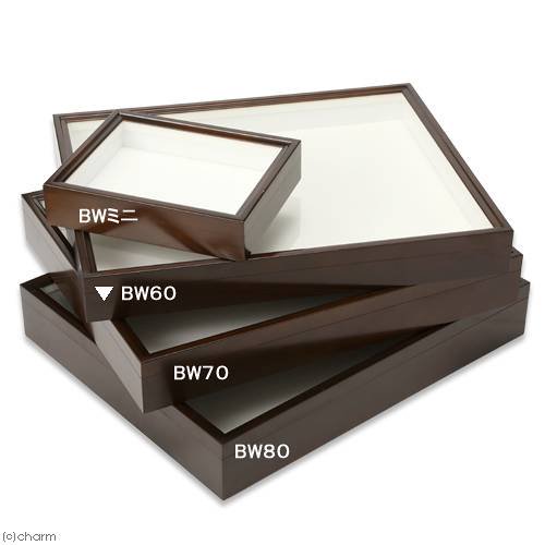 バードウィング製 ドイツ型標本箱 BW60(幅50.7×奥行き41.8×高さ6cm