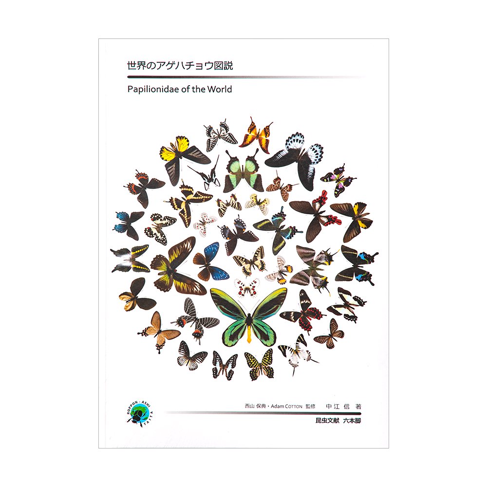 世界のアゲハチョウ図説 | チャーム