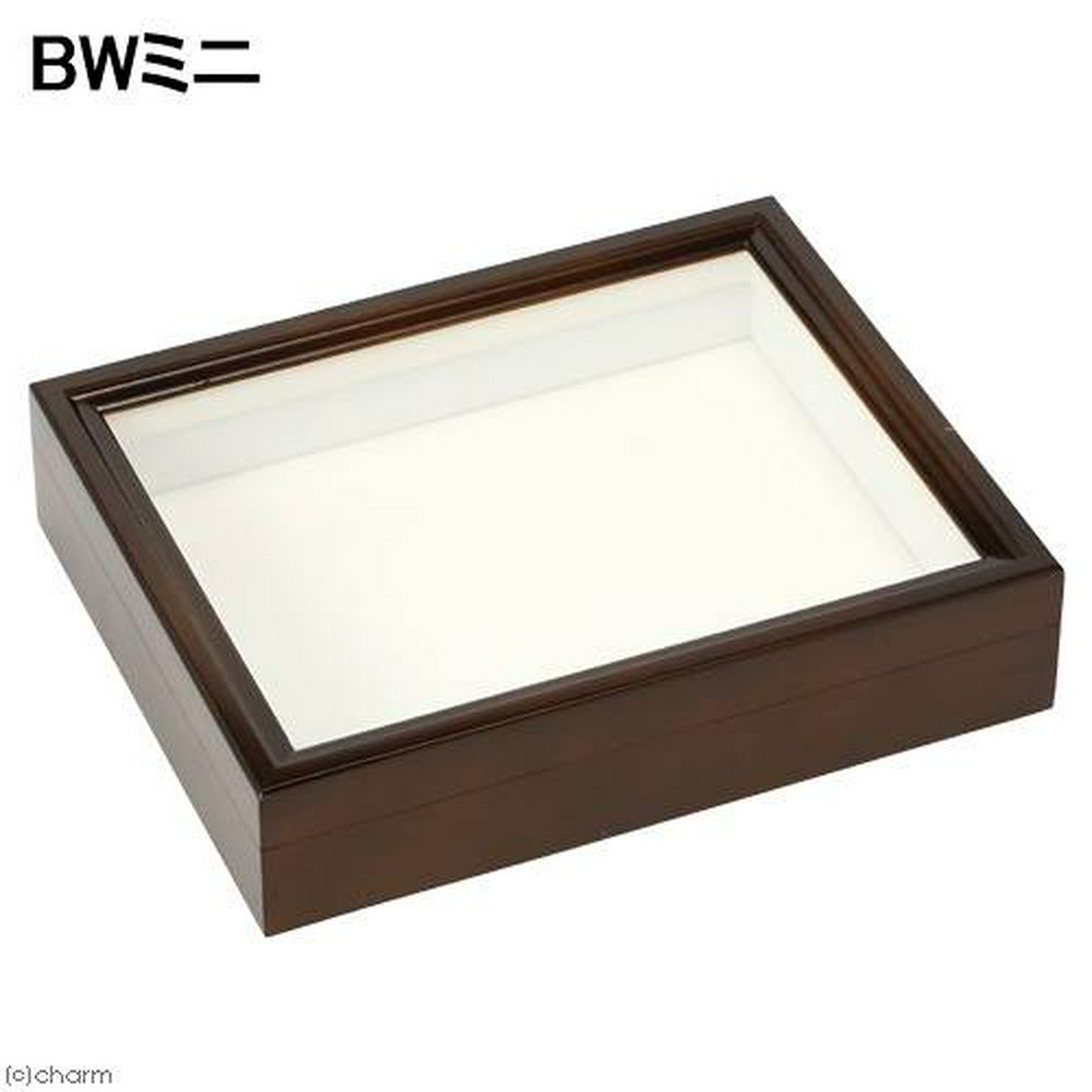 バードウィング製 ドイツ型標本箱 BWミニ (幅25×奥行き20×高さ5.5cm