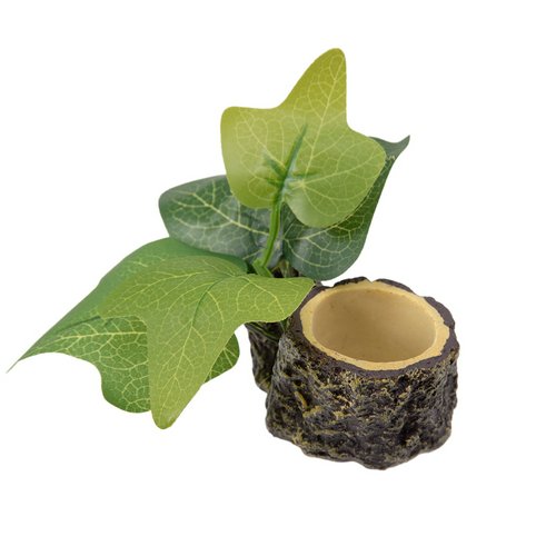 三晃商会 緑のお皿 クワガタ カブトムシ 昆虫ゼリー エサ皿 16g用