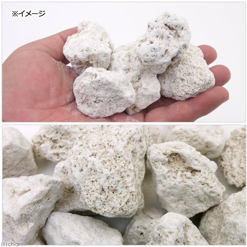 与那国島産 化石サンゴ 1L 大粒タイプ カルシウムリアクター用メディア