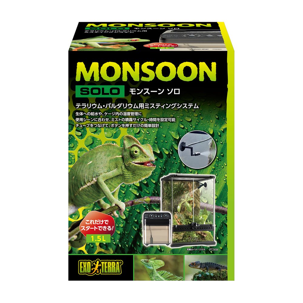 GEX エキゾテラ モンスーンソロ ミスティング カメレオン | チャーム