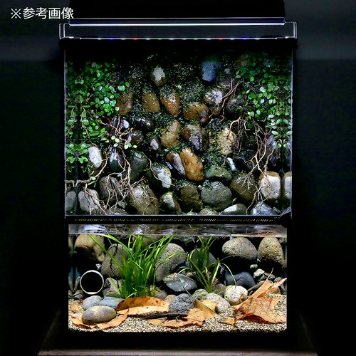 爬虫類ケージ テラスペース 45x45x60cm 穴2つあり ドレン付き 爬虫類