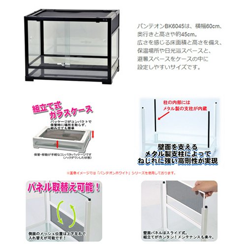 爬虫類ケージ 三晃商会 パンテオン ブラック BK6045(60.5×45.5×45cm