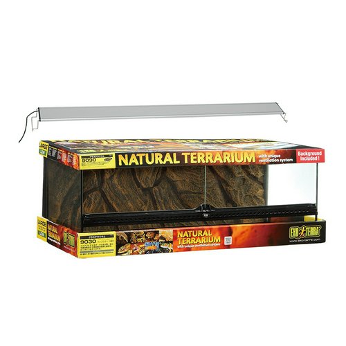 GEX エキゾテラ グラステラリウム 9030 + アクロ RECTANGLE LED BRIGHT