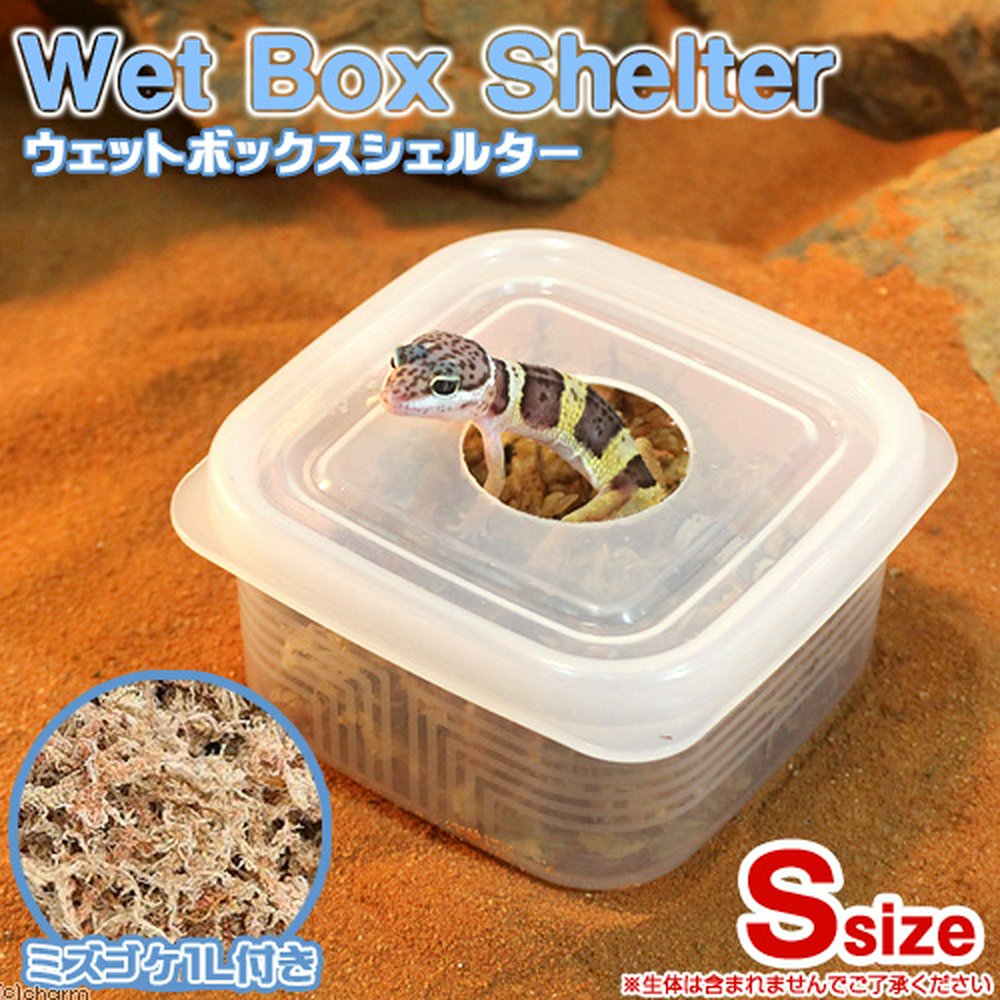 ウェットボックスシェルター Sサイズ 爬虫類 ヘビ ヤモリ 産卵床