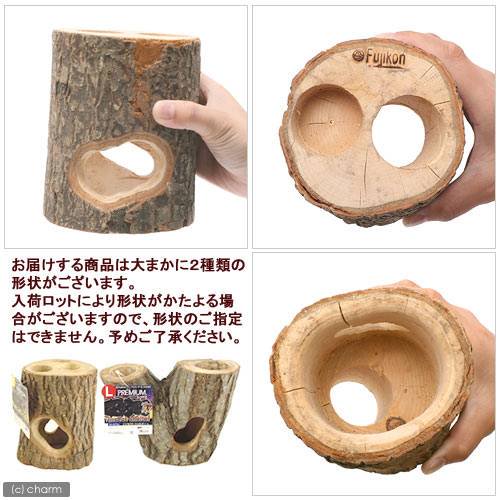 フジコン プレミアム インセクトシェルター L 昆虫 カブトムシ