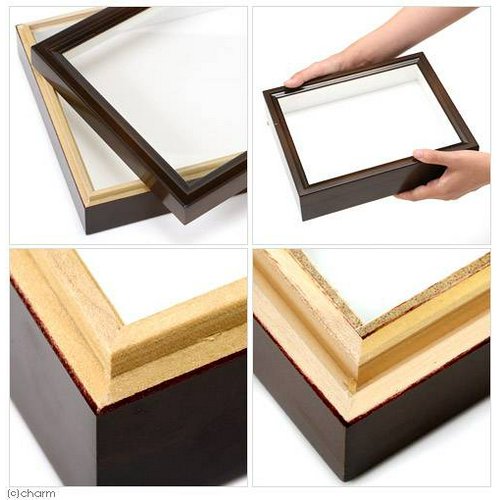 バードウィング製 ドイツ型標本箱 BWミニ (幅25×奥行き20×高さ5.5cm