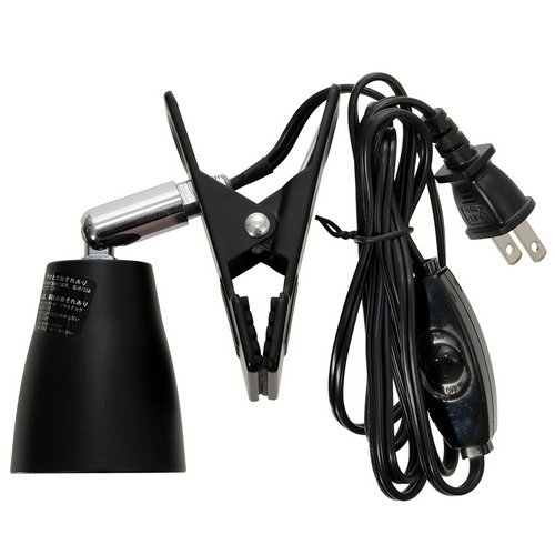 フトアゴヒゲトカゲ飼育セット (90cmケージ対応) 乾燥地帯に生息の