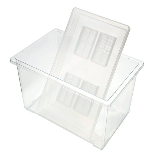 コバエシャッター 大 (370×221×240mm) プラケース 虫かご 飼育容器