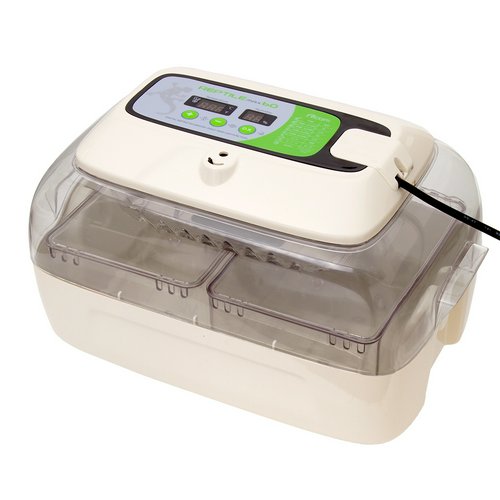 ベルバード レプタイルMAX60 ジュラゴンRX | チャーム