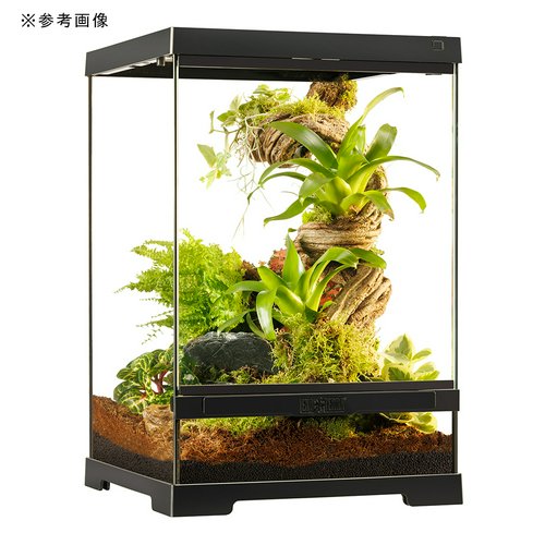 GEX エキゾテラ グラステラリウム PRO 3045 爬虫類 ケージ 飼育 ガラス