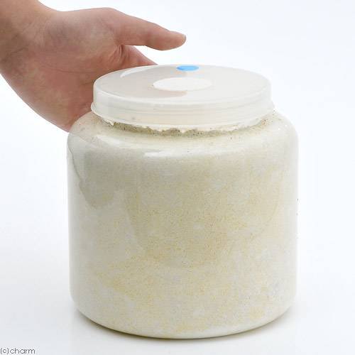 菌糸ビン XL-POT カワラタケ 2300cc 5本 透明ボトル | チャーム