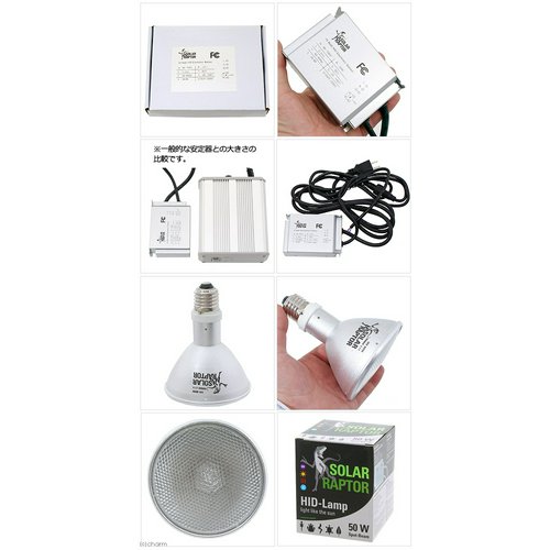 ゼンスイ ソーラーラプター HIDランプ 50W (50W安定器+50Wランプ+