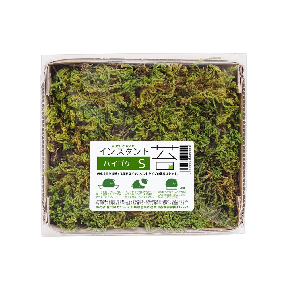 インスタント苔 ハイゴケS 外径14cm×12cm ドライタイプ 乾燥ゴケ