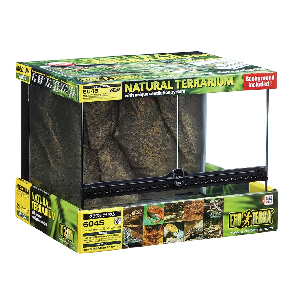 ヘルズ】爬虫類ケージ×6 ヘルズ】爬虫類ケージ×6 爬虫類ケージ