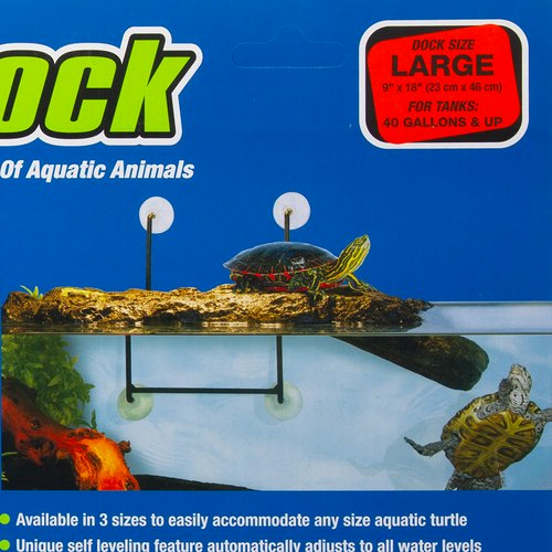 ZOOMED タートルドック L 爬虫類 浮島 | チャーム