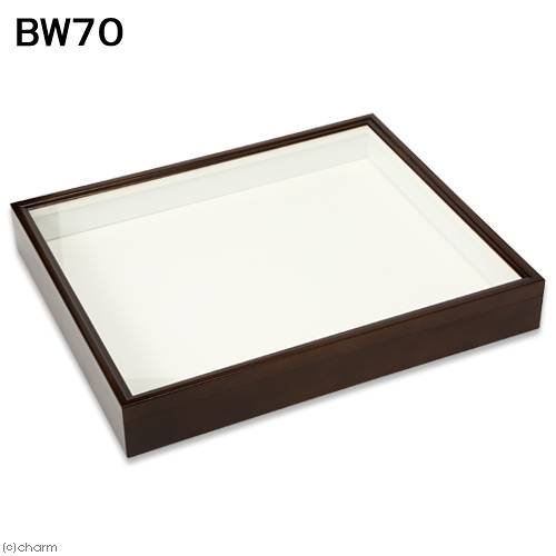 バードウィング製 ドイツ型標本箱 BW70 (幅50.7×奥行き41.8×高さ7cm