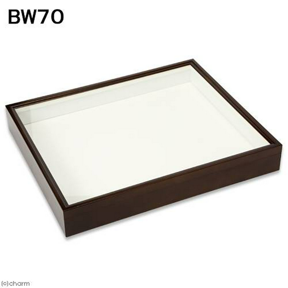 バードウィング製 ドイツ型標本箱 BW70 (幅50.7×奥行き41.8×高さ7cm