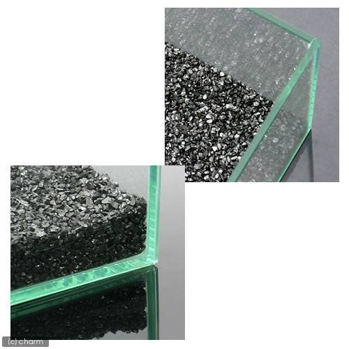 GEX ピュアブラック 8リットル ジェックス | チャーム