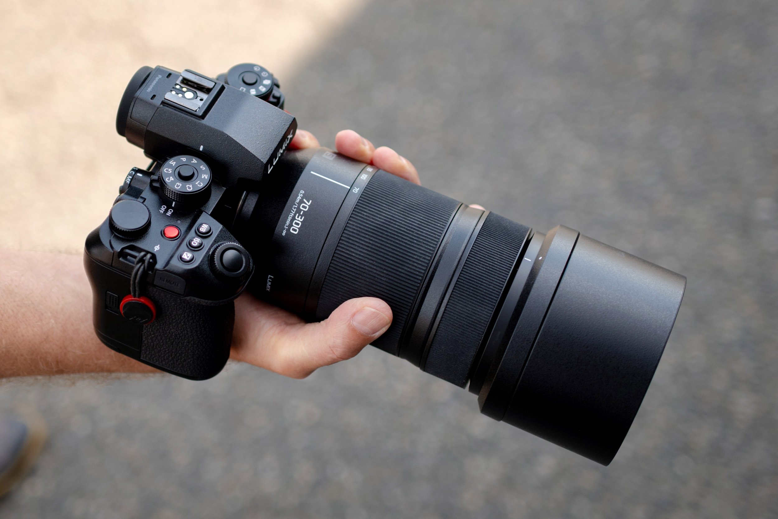 Panasonic Lumix S 70-300mm f/4.5-5.6 Macro O.I.S. Review | 5050