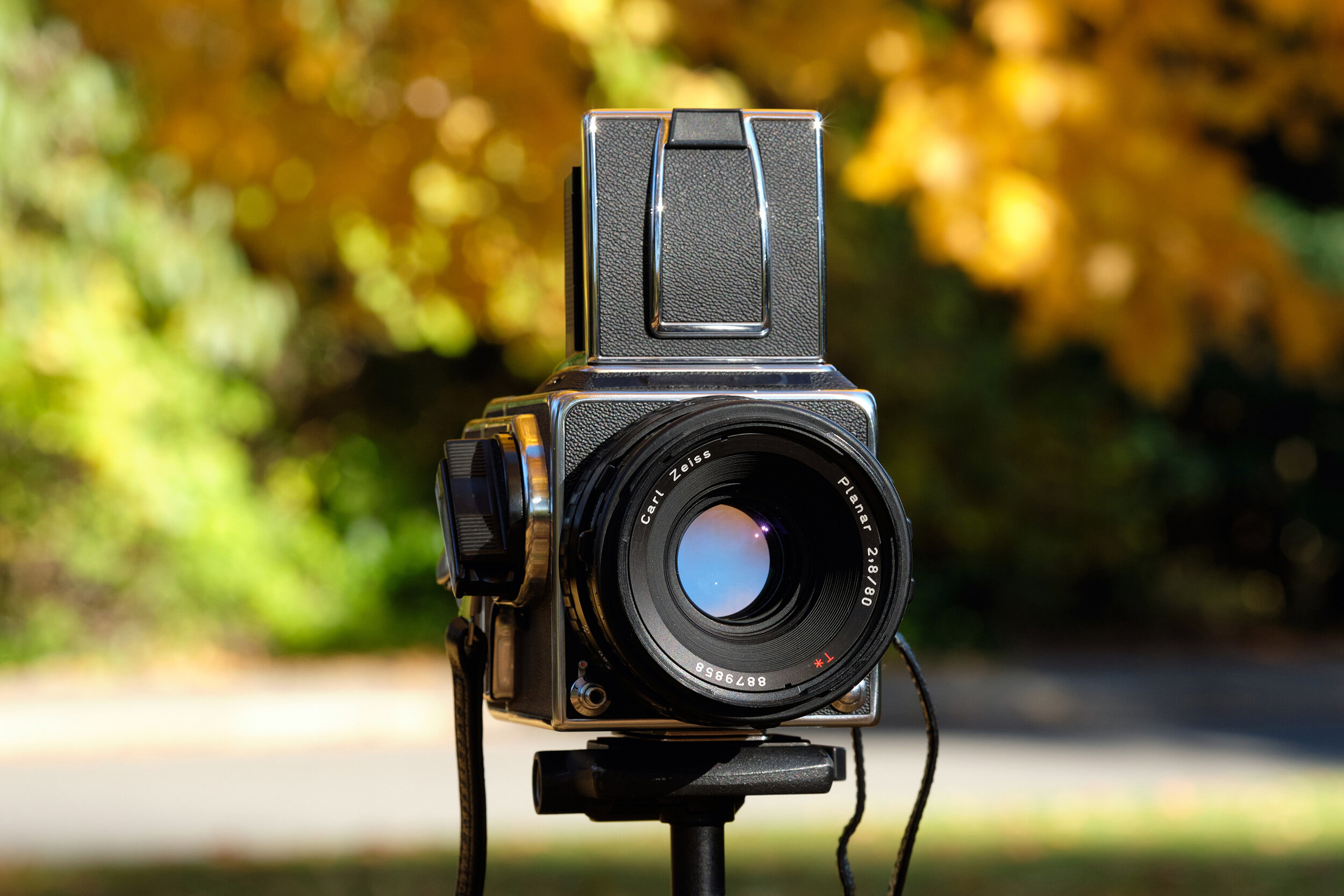 Hasselblad 503CX Review | 5050 Travelog